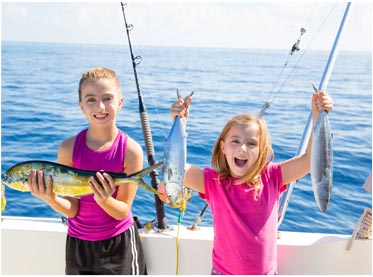 平台在线ddos压力测试